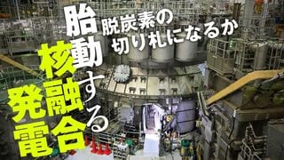 胎動する核融合発電