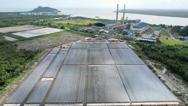 大企業が注目!バイオ革命児｢ちとせ｣の正体【前編】藻だけではない