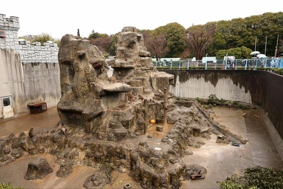 市川市動植物園 サル山