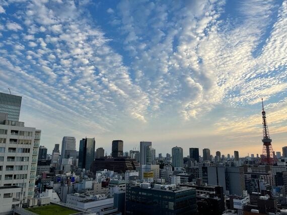 港区タワマン