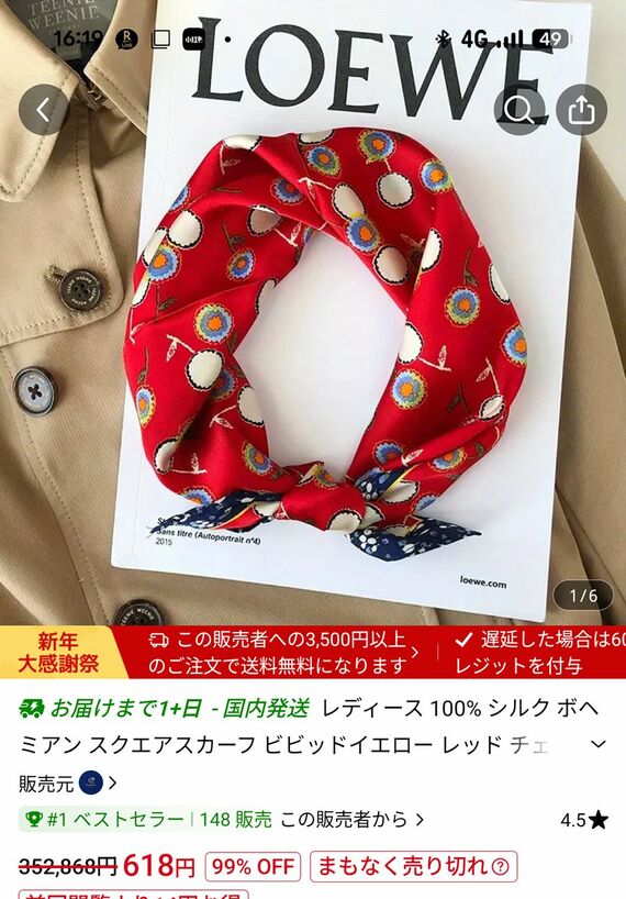 偽ロエベの出品画面