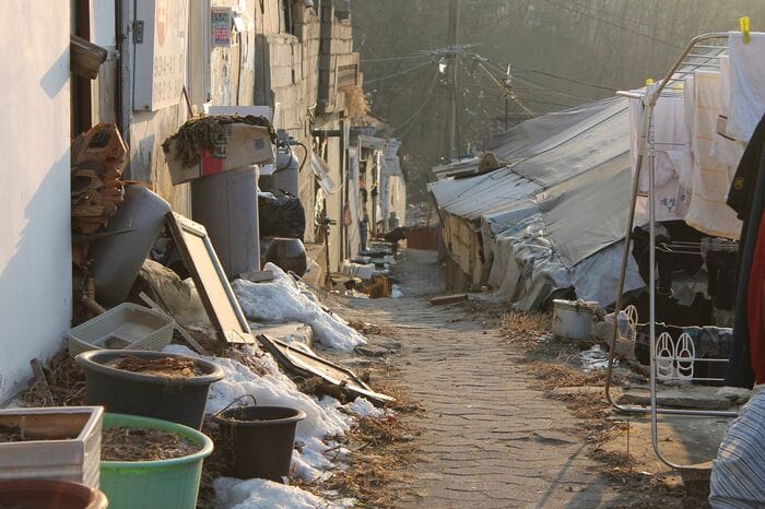 ペクサマウルの様子