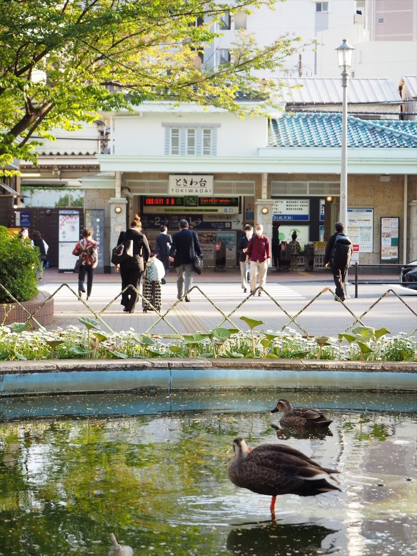 池のある駅前広場とときわ台駅舎（記者撮影）
