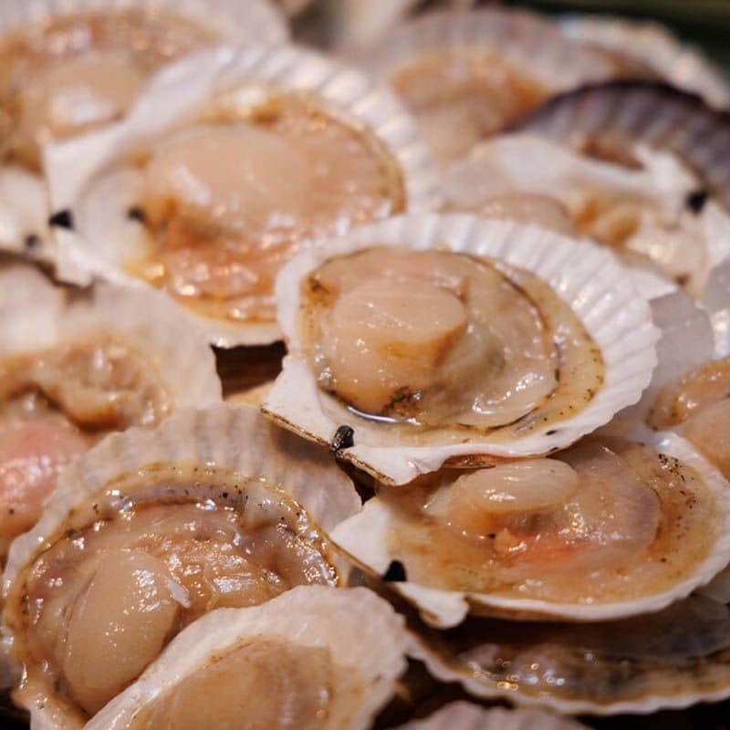 食材イメージ（ホタテ）（画像：海鮮市場 八芳提供）