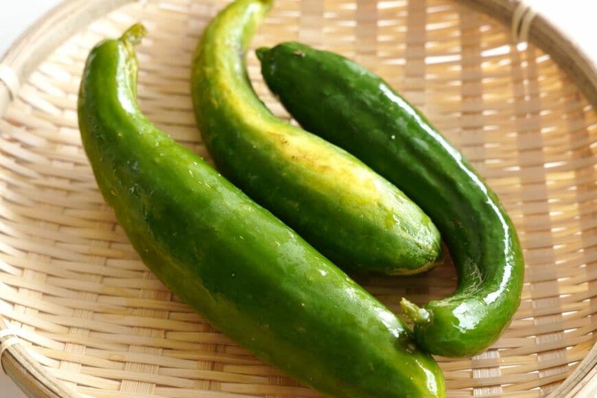 きゅうりは品種が多く、写真のようにとげのない品種もあります