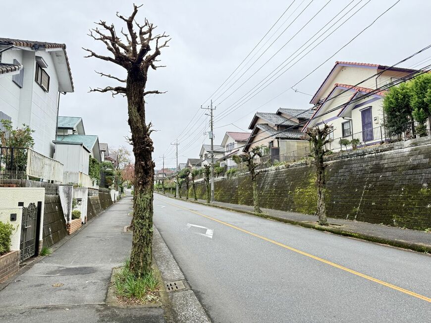 こま武蔵台の街並み