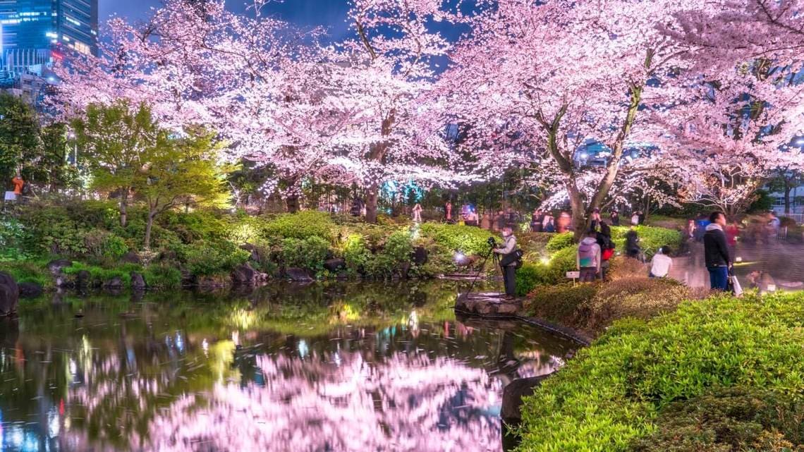 桜押し は ひとりよがり観光戦略の象徴だ レジャー 観光 ホテル 東洋経済オンライン 経済ニュースの新基準