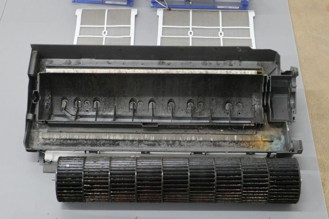 同じエアコンの内部（4年前に購入）。ファンの近くはカビが蓄積しやすい（写真：筆者提供）