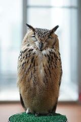 （写真提供：ゲンさん）