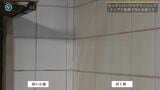 ゴミ屋敷