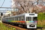 桜とレインボーカラーの電車（撮影：南正時）