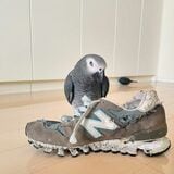 （写真提供：カマタさん）