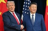 レアアース輸出規制の緩和で合意したトランプ大統領と習近平国家主席（写真：AFP＝時事）