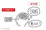 脳の処理能力を鍛えることで、ぼやけた画像を脳が鮮明な画像に補正してくれる（イラスト：伊藤和人）
