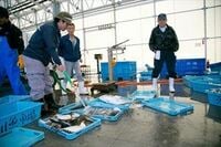 地方の産業は｢中抜き｣すれば生き返るか？ チーム制で作る、新しい「６次産業」