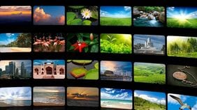 テレビ広告､実は｢13年前から横ばい死守｣の大健闘…下げ止まらない新聞広告と残酷な明暗