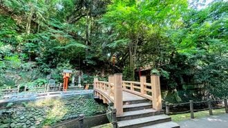 23区なのに｢古墳と渓谷｣秘境がある街の"実態"