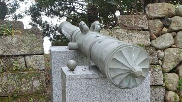 img_8c8da23a9971ce321cbe609411