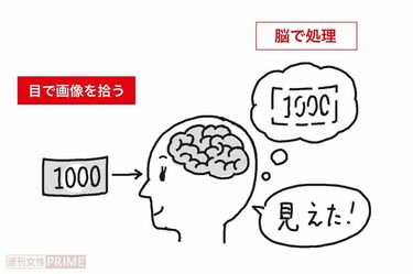 視力が改善！｢1000円札眺めるだけ｣トレーニング 眼科医が提唱､｢視力は1日2分で回復する｣ | 週刊女性PRIME | 東洋経済オンライン