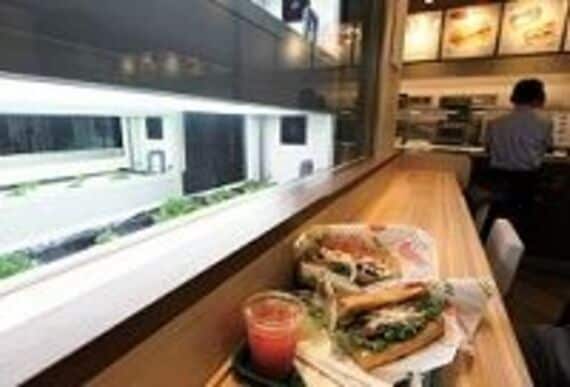 “店産店消”に挑むサブウェイ、サンドイッチ店の中で野菜を栽培