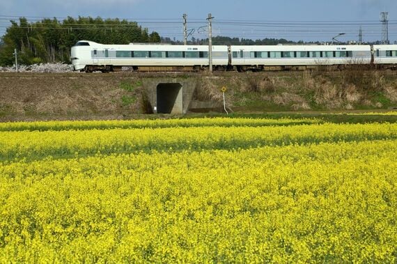 湖西線 サンダーバード