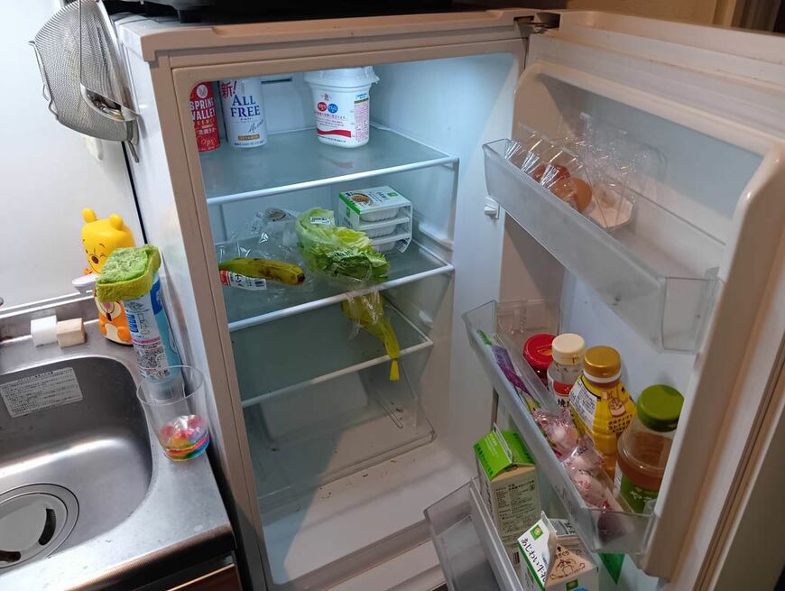 1人暮らし歴17年。35歳独身男の冷蔵庫はこんな感じ