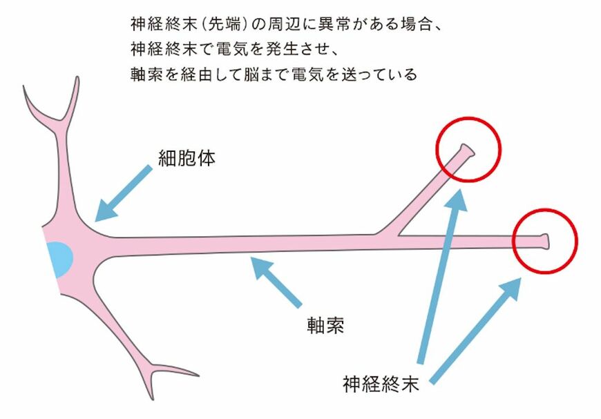 （提供：KADOKAWA）