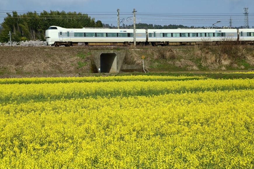 湖西線 サンダーバード