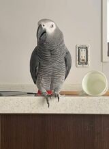 （写真提供：カマタさん）