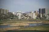 街中を散歩する時間がせわしない日々の余白を生み出す（撮影：メグミ）
