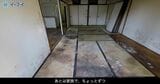 ゴミ屋敷