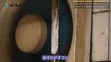 ゴミ屋敷