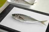 コピー用紙の上にのせたアジ