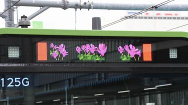 新型山手線､後部の行先表示は｢花柄｣だった 12種類の花が毎月変化