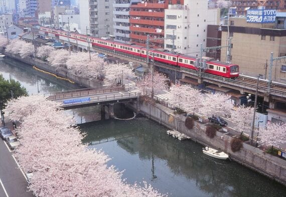 京急2100 桜 日ノ出町