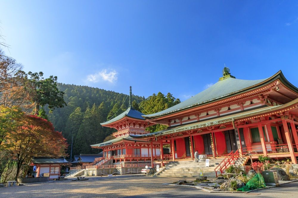 光る君へ 大河ドラマ 藤原道長 三条天皇