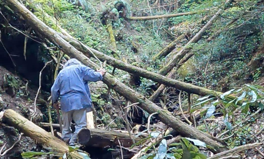 自家用水を引いている取水ダムの様子を確認しに行くため、山中の道なき道を進んでいく松田省吾さん（2025年5月2日、宮崎県木城町で、弁護士ドットコムニュース撮影）