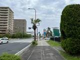 「よこすか海岸通り」の様子（筆者撮影）