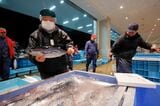 水揚げされたカツオ。これが即座にタタキに加工され新幹線に乗って大阪を目指す（筆者撮影）