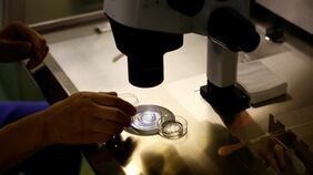 妻のがん闘病中に"夫が不倫相手と不妊治療"中国で大論争が巻き起こる《婚外受精卵事件》が突き付けた｢大きな課題｣