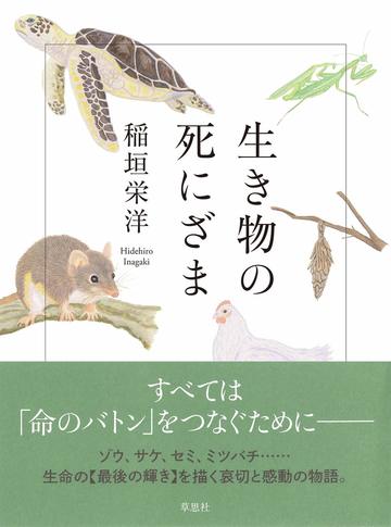 セミの最期は澄んだ空を見ることさえできない 雑学 東洋経済オンライン 社会をよくする経済ニュース