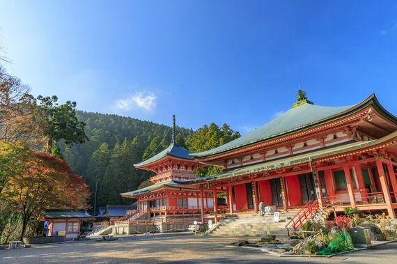 光る君へ 大河ドラマ 藤原道長 三条天皇