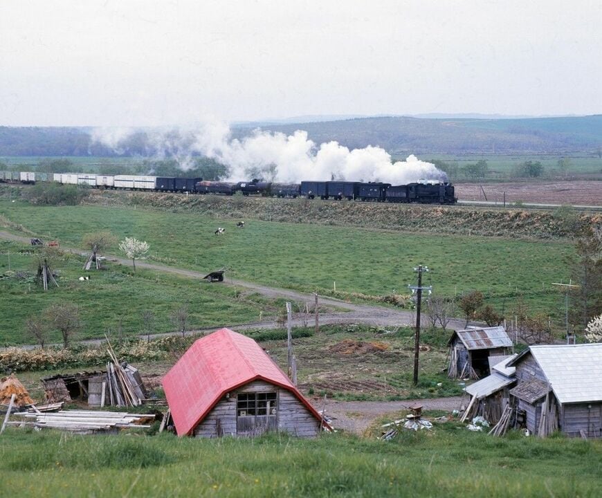 名寄本線（1989年廃止）を走る9600形蒸気機関車牽引の貨物列車＝1973年6月（撮影：南正時）