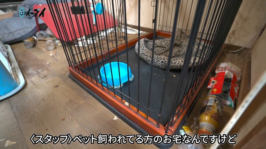 ゴミ屋敷に暮らすペットの現状とは（写真：「イーブイ片付けチャンネル」より）