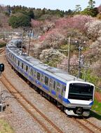 現在の主力車両E531系