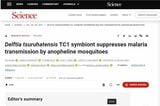 『サイエンス』に載ったマラリアの記事（サイエンスのホームページより）