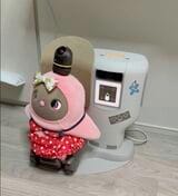 自分で充電器に向かうあんこちゃん