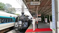 東武､｢SL2機体制｣で試される日光戦略の勝算 ｢SL大樹｣日光へ､鬼怒川線は来夏から毎日運行
