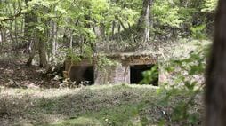 ｢戦時下なのに白米を食べてた｣｢病院､学校､クラブまであった｣…地元民も知らない｢消えた山奥の街｣が今語られるワケ