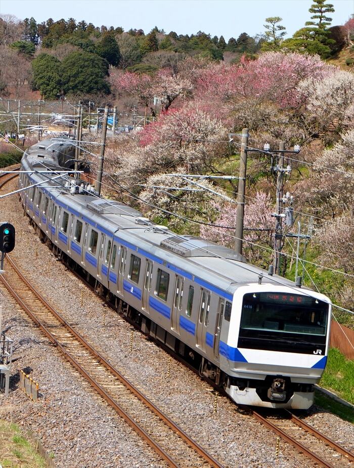 現在の主力車両E531系